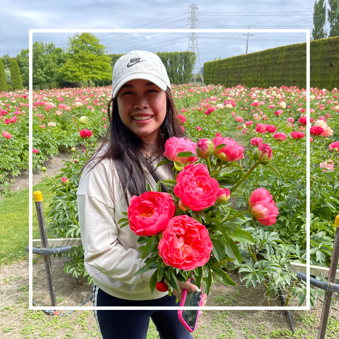 Pick Your Own Peonies