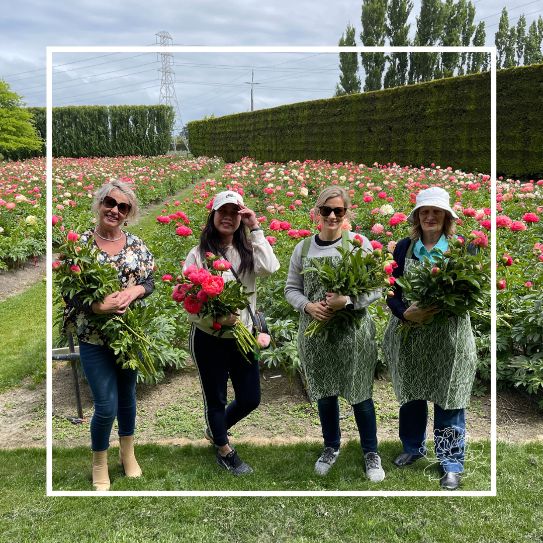 Pick Your Own Peonies