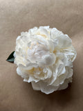 Bridal Shower