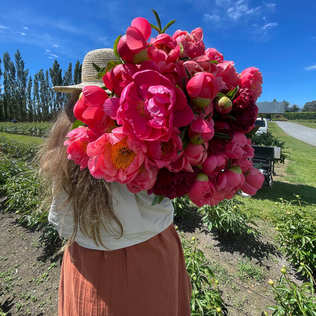 Mother’s Day "Dig Your Own" Peony Experience