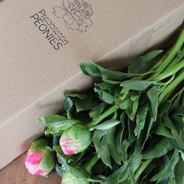 Valentine's Day Peonies - NZ Delivery