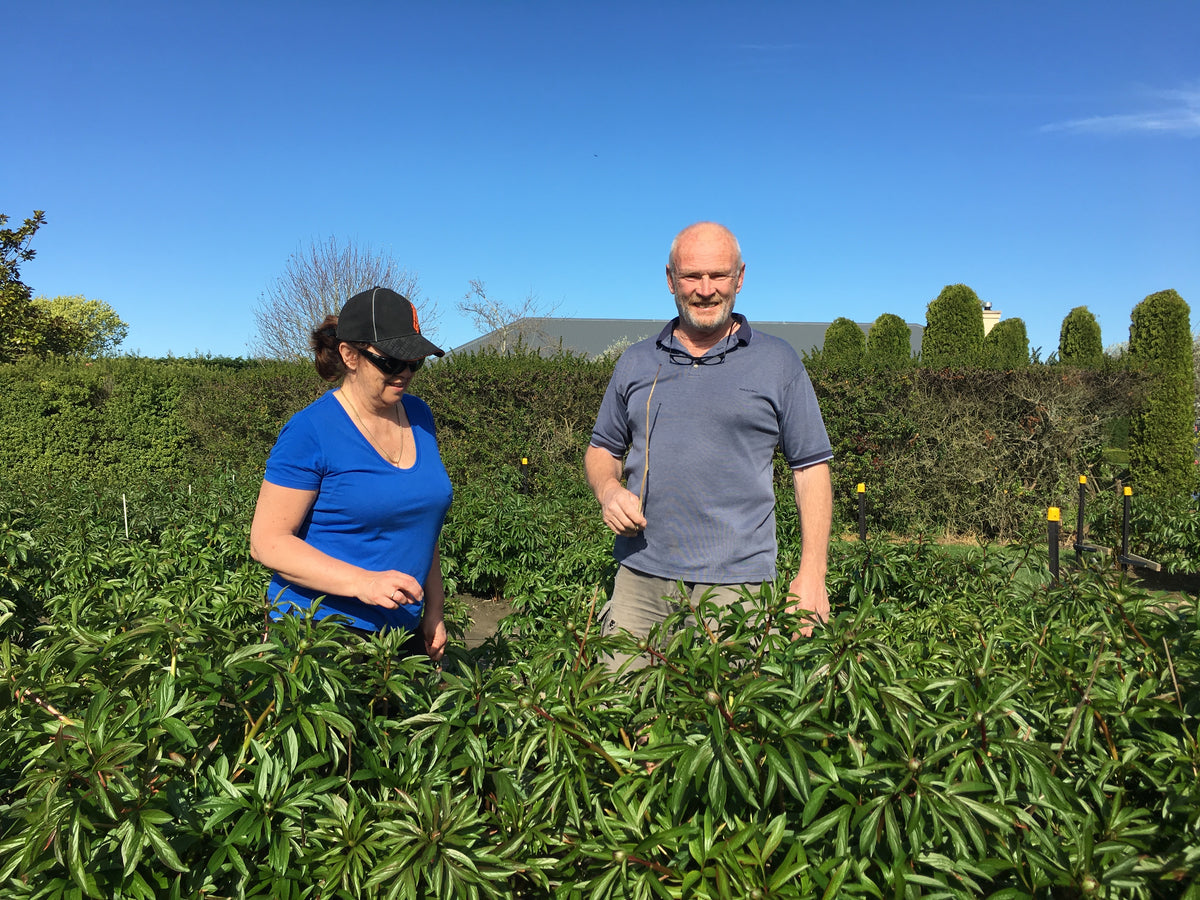John and Kerry in the peony rows in spring.