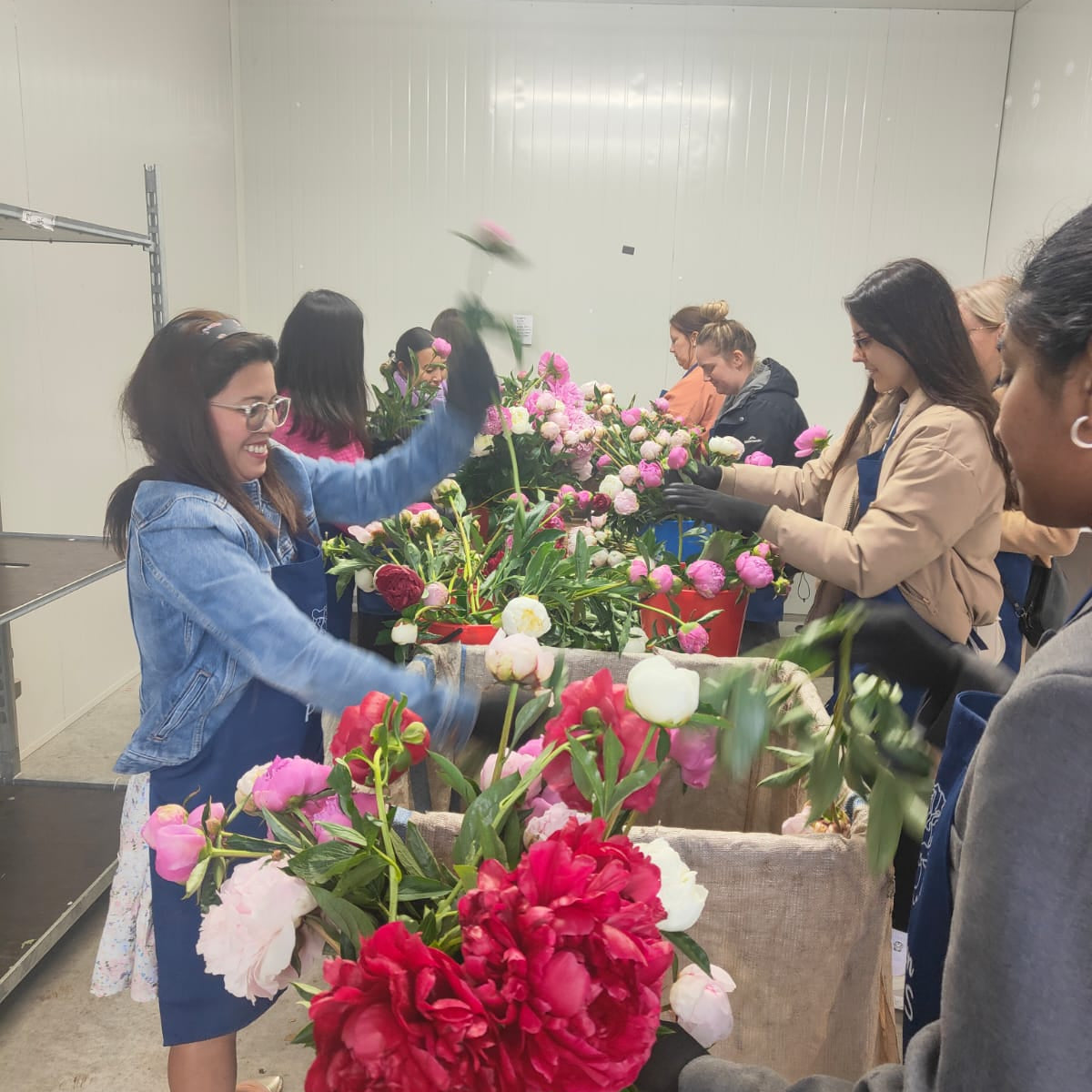 Group of people arranging peony flowers in a warehouse setting