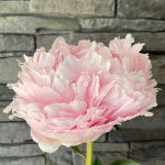 SK_Sarah Bernhardt