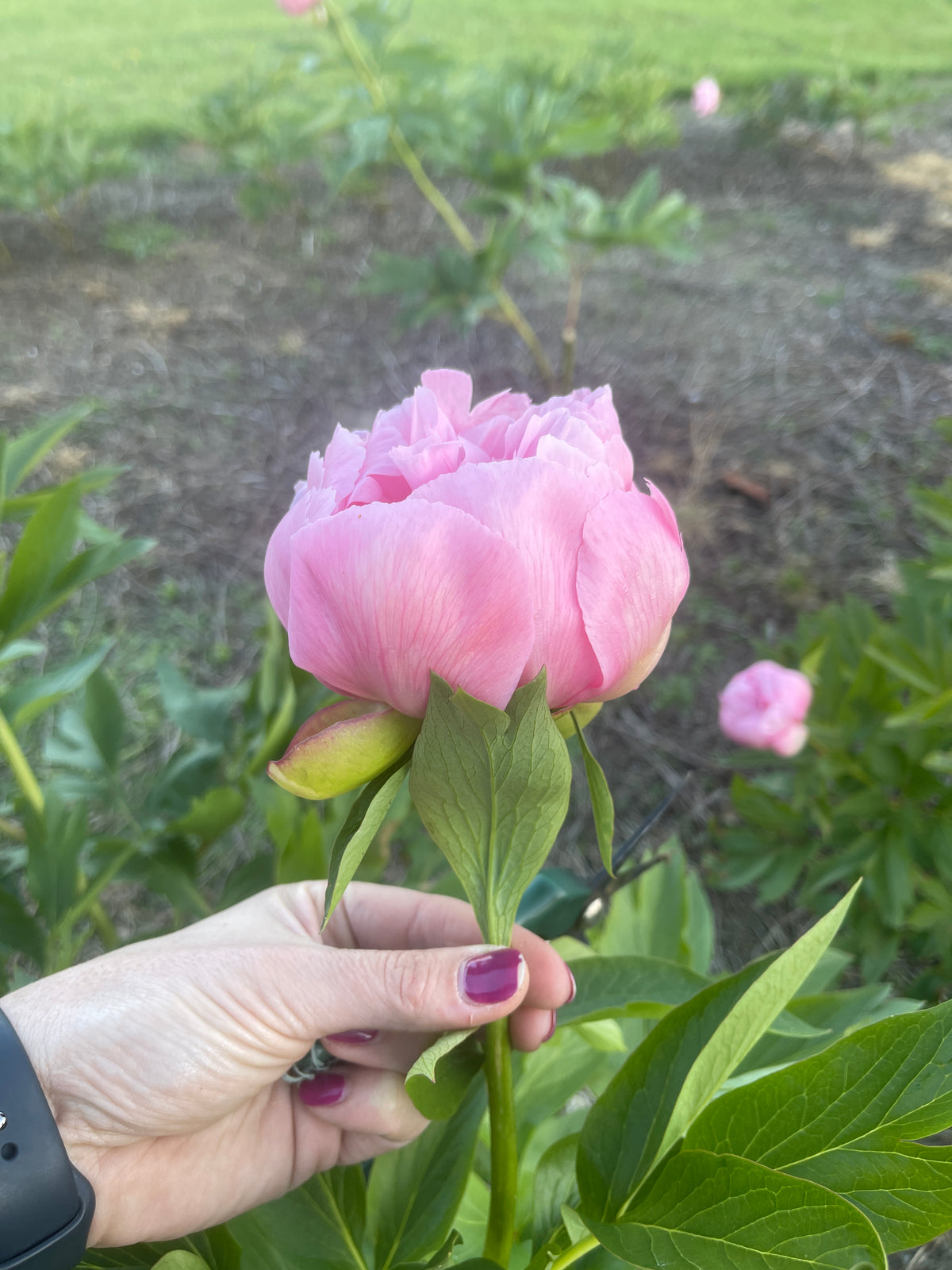 Bright & Beautiful