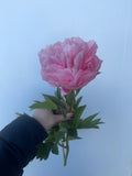 Bright & Beautiful