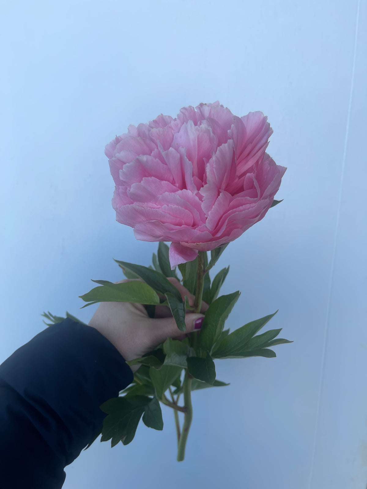 Bright & Beautiful