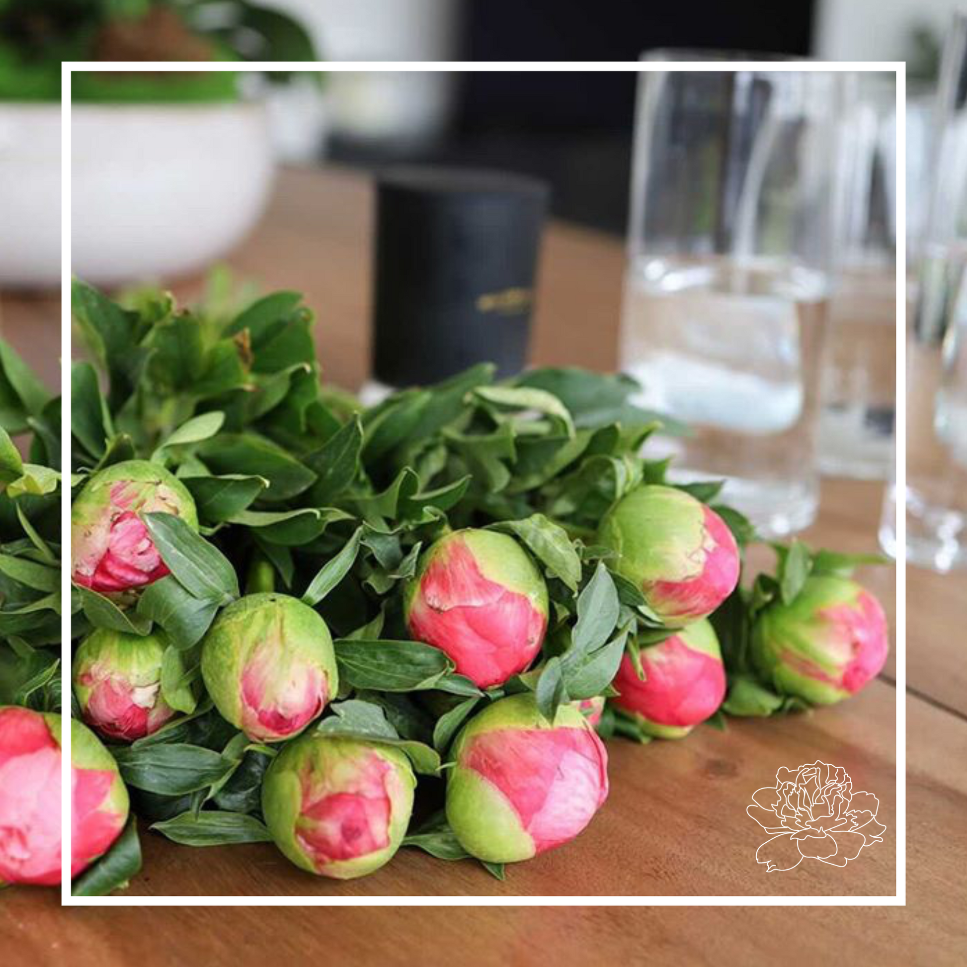 ten peonies still in buds lying on a kitchen table. the buds are facing forward and green foliage surround them. the background is blurred but you can see glasses and a candle in the background. Framed with a white graphic and the prebbleton peonies logo in the bottom right corner.